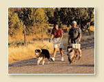 A couple walks their dogs in Pinion Hills  at Dammeron Valley